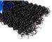 Wirkliches Jungfrau-malaysisches Haar gelocktes unverarbeitetes malaysisches Remy-Jungfrau-Haar fournisseur