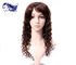 Tiefes Menschenhaar-volle Spitze-Perücken der Wellen-100 mit dem Baby-Haar-Brasilianer-Haar fournisseur
