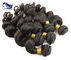 24 Jungfrau-Haar-natürliches schwarzes Brasilianer Remy-Jungfrau-Haar des Zoll-Grad-7A fournisseur